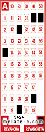 Volante ganador del sorteo 3424 de Revanchita