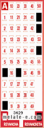 Volante ganador del sorteo 3429 de Revanchita