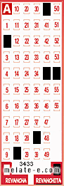 Volante ganador del sorteo 3433 de Revanchita