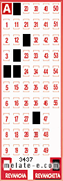 Volante ganador del sorteo 3437 de Revanchita