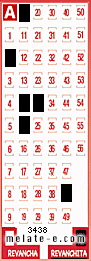 Volante ganador del sorteo 3438 de Revanchita