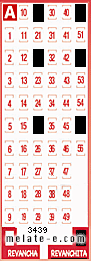 Volante ganador del sorteo 3439 de Revanchita