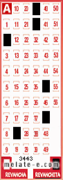 Volante ganador del sorteo 3443 de Revanchita