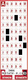 Volante ganador del sorteo 3466 de Revanchita