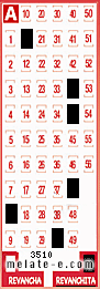 Volante ganador del sorteo 3510 de Revanchita