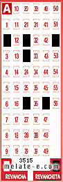 Volante ganador del sorteo 3515 de Revanchita