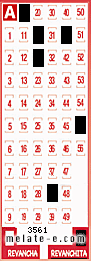 Volante ganador del sorteo 3561 de Revanchita