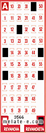 Volante ganador del sorteo 3566 de Revanchita