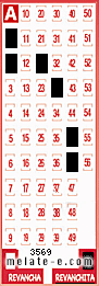 Volante ganador del sorteo 3569 de Revanchita