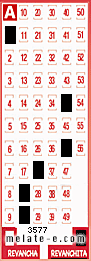 Volante ganador del sorteo 3577 de Revanchita