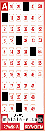 Volante ganador del sorteo 3709 de Revanchita