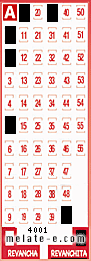 Volante ganador del sorteo 4001 de Revanchita