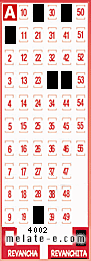 Volante ganador del sorteo 4002 de Revanchita