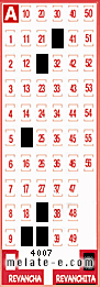Volante ganador del sorteo 4007 de Revanchita