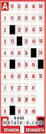 Volante ganador del sorteo 4008 de Revanchita