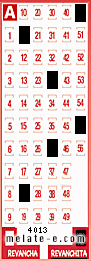 Volante ganador del sorteo 4013 de Revanchita