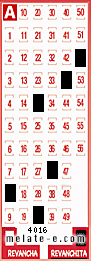 Volante ganador del sorteo 4016 de Revanchita