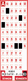 Volante ganador del sorteo 4060 de Revanchita