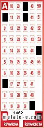 Volante ganador del sorteo 4062 de Revanchita