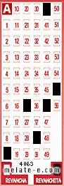 Volante ganador del sorteo 4063 de Revanchita