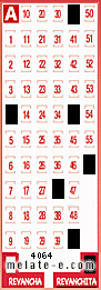 Volante ganador del sorteo 4064 de Revanchita