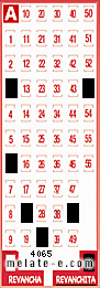 Volante ganador del sorteo 4065 de Revanchita