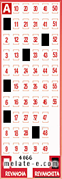 Volante ganador del sorteo 4066 de Revanchita