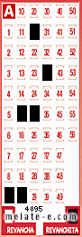 Volante ganador del sorteo 4095 de Revanchita