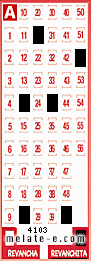 Volante ganador del sorteo 4103 de Revanchita