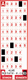 Volante ganador del sorteo 4105 de Revanchita