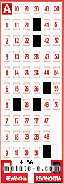 Volante ganador del sorteo 4186 de Revanchita