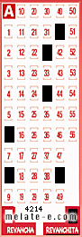 Volante ganador del sorteo 4214 de Revanchita