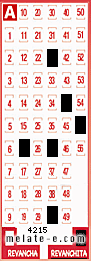 Volante ganador del sorteo 4215 de Revanchita