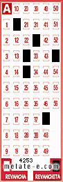 Volante ganador del sorteo 4253 de Revanchita