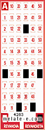 Volante ganador del sorteo 4283 de Revanchita
